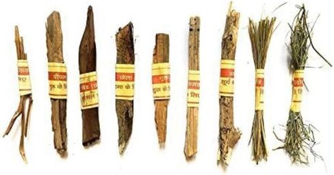 Navgrah Samidha Navgrah Lakdi for Hawan Pooja Hawan Lakdi Hawan Item Hawan Samidha Havan Pooja puja Diwali Dhanteras Pack of 9 Sticks, Small in Saudi Arabia