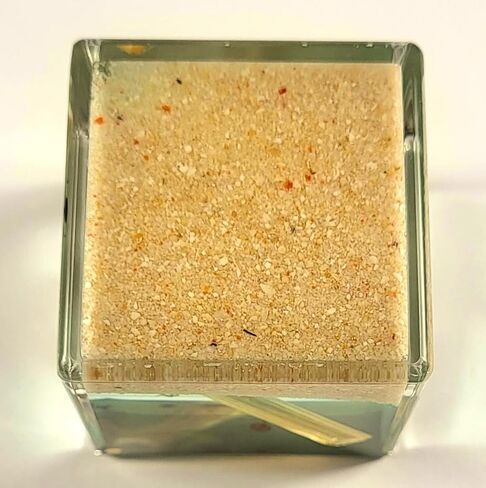 40mm Real Golden Scorpion on Stones in Crystal Clear Lucite Resin Diorama Paperweight Specimen Preserved Insect Taxidermy Collection for Biology Science Education & Desk Ornament Display Supplies in Saudi Arabia
