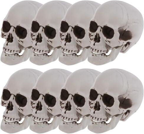 8 قطع من رؤوس جمجمة الهالوين من ديكوس، ديكور جماجم الهالوين البلاستيكية الصغيرة، رؤوس جمجمة بشرية واقعية، جماجم منزل مسكون بالهالوين، لتزيين طاولة المنزل في الهواء الطلق in Kuwait