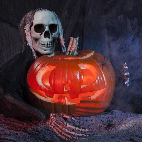 8 قطع من رؤوس جمجمة الهالوين من ديكوس، ديكور جماجم الهالوين البلاستيكية الصغيرة، رؤوس جمجمة بشرية واقعية، جماجم منزل مسكون بالهالوين، لتزيين طاولة المنزل في الهواء الطلق in Kuwait