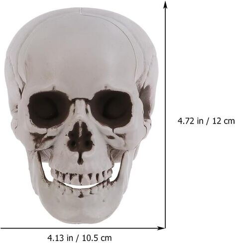 8 قطع من رؤوس جمجمة الهالوين من ديكوس، ديكور جماجم الهالوين البلاستيكية الصغيرة، رؤوس جمجمة بشرية واقعية، جماجم منزل مسكون بالهالوين، لتزيين طاولة المنزل في الهواء الطلق in Kuwait