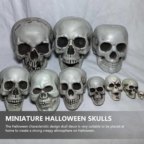 8 قطع من رؤوس جمجمة الهالوين من ديكوس، ديكور جماجم الهالوين البلاستيكية الصغيرة، رؤوس جمجمة بشرية واقعية، جماجم منزل مسكون بالهالوين، لتزيين طاولة المنزل في الهواء الطلق in Kuwait