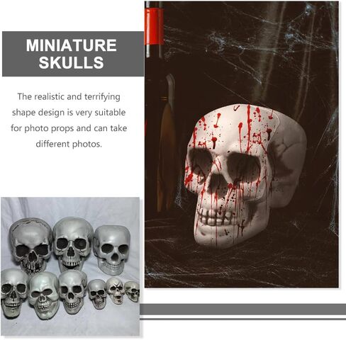 8 قطع من رؤوس جمجمة الهالوين من ديكوس، ديكور جماجم الهالوين البلاستيكية الصغيرة، رؤوس جمجمة بشرية واقعية، جماجم منزل مسكون بالهالوين، لتزيين طاولة المنزل في الهواء الطلق in Kuwait