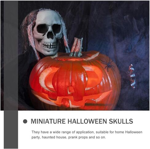 8 قطع من رؤوس جمجمة الهالوين من ديكوس، ديكور جماجم الهالوين البلاستيكية الصغيرة، رؤوس جمجمة بشرية واقعية، جماجم منزل مسكون بالهالوين، لتزيين طاولة المنزل في الهواء الطلق in Kuwait