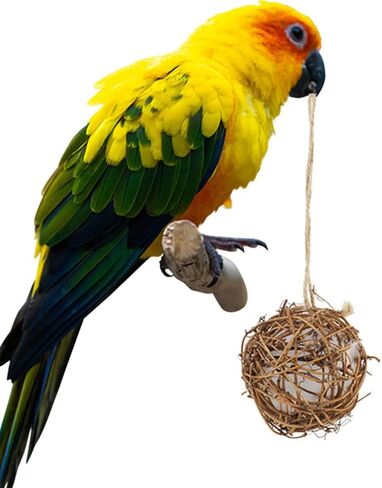 jarbins 2 Pack Bird Nesting Ball Material Hummingbird Nesting Material Parrot Hanging Warm Nest Biting Toys Birdhouse Nesting Material Hummingbird Glob (3.15in) in Kuwait