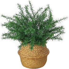 Emivery 5pcs Artificial Rosemary Stems Fake Rosemary Branches Greenery Plants Faux Plastic Shrubs for Home Office Garden Farmhouse Porch Patio Decoration