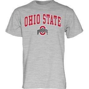 Blue 84 Men's T Shirt Gray Arching Over