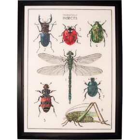 Thea Gouverneur - Counted Cross Stitch Kit - The History of Insects - Aida - 14 Count - for Adults - 566A