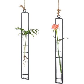 Sziqiqi Glass Propagation Station Test Tube Vases Clear Glass for Cuttings, Buds, Greenery Hydroponic Plant Propagation Home Balcony Bath Wall Decoration Floral Container Set of 3 Black