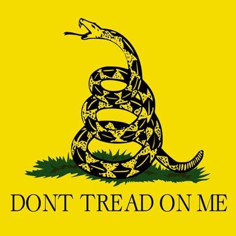 لحاف مربع من 3dRose qs_108323_4 Dont Tread on Me Snake، مقاس 12 × 12 بوصة in Kuwait