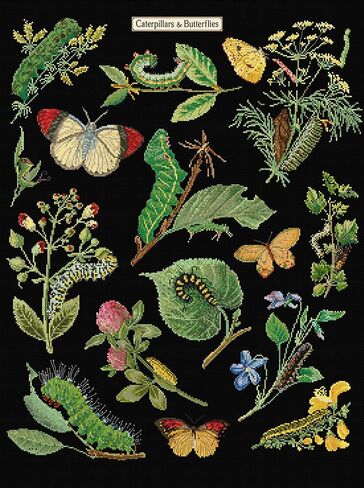 Thea Gouverneur - Counted Cross Stitch Kit - The History of Insects - Aida - 14 Count - for Adults - 566A in Saudi Arabia