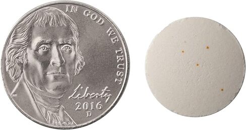 Natrol B-Complex Fast Dissolve Tablets, Coconut Flavor, 90 Count (Pack of 12) in Kuwait