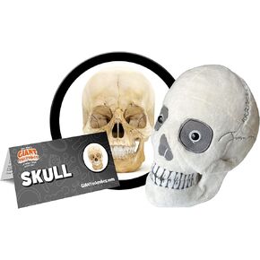 GIANTmicrobes Skull Plush, Skull Stuffed Animal, Anatomical Skull Gift, Halloween Skull Decor, Anatomy Skull, Human Skull Model Plushie, Skull Anatomy Model, Skull Pillow, Skull Toy, Sugar Skull