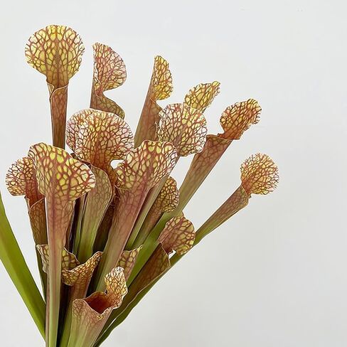5pcs 17.5" Artificial Carnivorous Pitcher Green Plant Moisturizing Fake Sarracenia Greenery for Vase Bouquet and Home Wedding Festival Decoration.(Light Green) in Kuwait