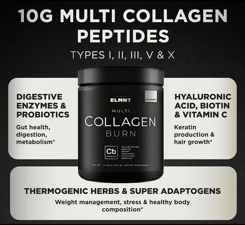 Super Collagen for Women Powder Chocolate - Thermogenic Collagen Burn w. Probiotics, ACV, KSM-66, Vitamin C, Biotin - Best Multi Collagen Protein Supplement for Weight Management, Hair Growth & Beauty in Saudi Arabia