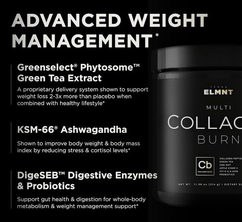 Super Collagen for Women Powder Chocolate - Thermogenic Collagen Burn w. Probiotics, ACV, KSM-66, Vitamin C, Biotin - Best Multi Collagen Protein Supplement for Weight Management, Hair Growth & Beauty in Saudi Arabia
