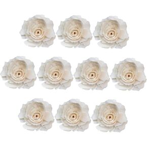 10pcs Diffuser Sola Wood Flowers Flower Diffusing Sticks Essential Oils Diffusers for Home Fireless Diffusers Fragrance Household