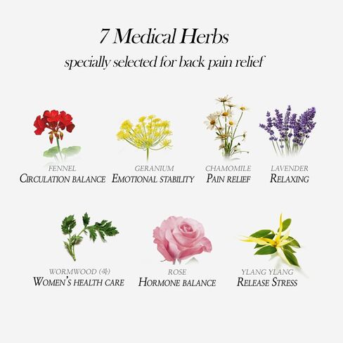 Herborn Heat Patches (for Waist, 8 Patches) - Back Pain Relief, 7 Medical Herbs, Wide Wings in Saudi Arabia