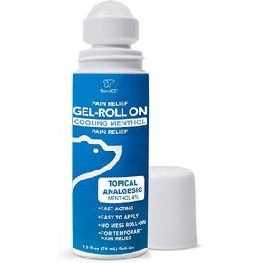 TheraICE Pain Relief Roll On, 2.5 FL OZ Roll-On ICY Gel Maximum Fast Acting Topical Cooling Menthol Strength Pain Reliever for Hot Muscles, Joints, Arthritis, Back, Hamstring, Knee, Elbow & Calf