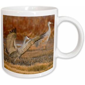3dRose Sandhill Crane Landing at Roost Pond New Mexico USA Two Tone Mug, 11 oz, Black
