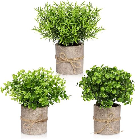 ديكور المزرعة للمنزل، ديكورات حمام المزرعة - ديكورات المزرعة الحديثة لحمام المزرعة أو طاولة المزرعة - مجموعة نبات الأوكالبتوس الريفية من 3 نباتات صناعية (أخضر) in Kuwait