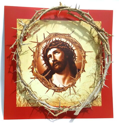 CROWN OF THORNS BETHLEHEM JERUSALEM HOLY LAND aprox 7.5" diameter in Saudi Arabia