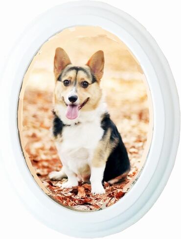 Oval Picture Frames,Classic Oval Wood Picture Frame Wooden Wall Hanging Picture Frames for Home Office Wall Décor(Black,10 inch) in Saudi Arabia