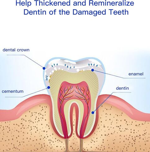 Nanohydroxyapatite Toothpaste Instead of Root Canal Therapy & Relieve Pain of Pulpitis, Hydroxyapatite Toothpaste for Gum Care Prevent Teeth Root Fracture, 3.52Oz for Adults Mint Flavor in Saudi Arabia