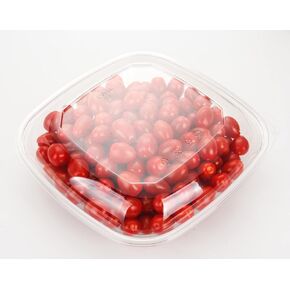 GOLDEN APPLE, 160oz-5sets Disposable Plastic Serving Square Bowls with Lids, Large Clear Plastic Disposable Salad Containers in Saudi Arabia