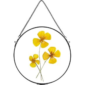 Glass Frame for Pressed Flowers Handmade, Wall Hanging Brass Floating Frame, Double Glass Round Picture, Glass Frame for Dried Flowers Poster Home Wall Decor, Circle, Gold (FRAME ONLY)