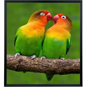 Mxtallup 21x24 Picture Frames Solid Wood 21x24 Poster Frame for Wall 21x24 Photo Frames Family Black (T22B2124)