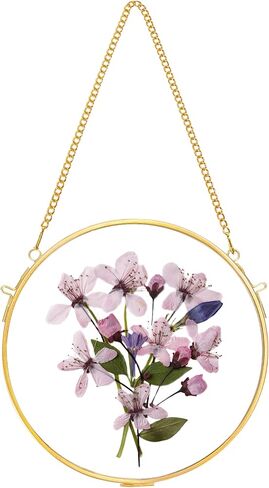 Glass Frame for Pressed Flowers Handmade, Wall Hanging Brass Floating Frame, Double Glass Round Picture, Glass Frame for Dried Flowers Poster Home Wall Decor, Circle, Gold (FRAME ONLY) in Saudi Arabia