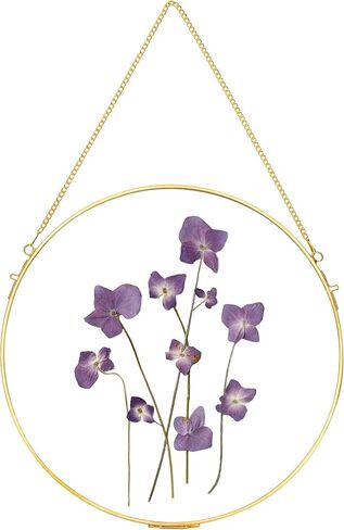 Glass Frame for Pressed Flowers Handmade, Wall Hanging Brass Floating Frame, Double Glass Round Picture, Glass Frame for Dried Flowers Poster Home Wall Decor, Circle, Gold (FRAME ONLY) in Saudi Arabia