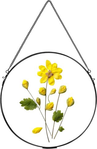 Glass Frame for Pressed Flowers Handmade, Wall Hanging Brass Floating Frame, Double Glass Round Picture, Glass Frame for Dried Flowers Poster Home Wall Decor, Circle, Gold (FRAME ONLY) in Saudi Arabia