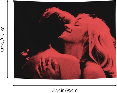 Vsanto Band French Exit Album Cover Funny Tapestry Funny Small Tapestries 29"X37"Boutique Wall Hanging Banner Wall Art Flag For Home Decor College Dorm Bedroom Living Room Party Decorations in Saudi Arabia