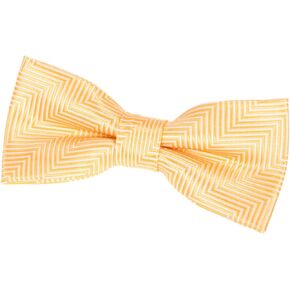 Retreez Herringbone Stripe Woven Pre-tied Bow Tie (4.5")