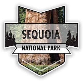 Sequoia National Park Magnet | 4.7-Inch by 4.5-Inch | 2-Pack | 30 MIL Heavy Duty Magnetic Material | MPD961