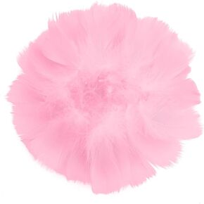 HaiMay 300 Pieces Black Feathers for Craft Jewelry Wedding Home Party Decorations, 4-6 Inches Natural Hard Goose Feathers Black Craft Feathers in Kuwait