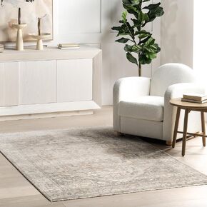 nuLOOM Harriet Vintage Medallion Fringe Area Rug - 2x3 Accent Rug Traditional Neutral/Beige Rugs for Living Room Bedroom Dining Room Entryway Kitchen