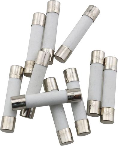 TAODAN 10pcs 15A Slow-Blow Time Delay Ceramic Fuses 250V 6x30mm in Saudi Arabia