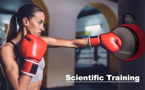 Boxing Force Measurement Device,Boxing Mechine Wall Mounted in Saudi Arabia