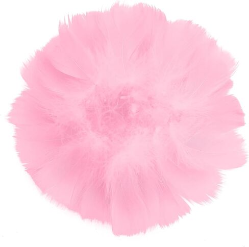 HaiMay 300 Pieces Black Feathers for Craft Jewelry Wedding Home Party Decorations, 4-6 Inches Natural Hard Goose Feathers Black Craft Feathers in Kuwait