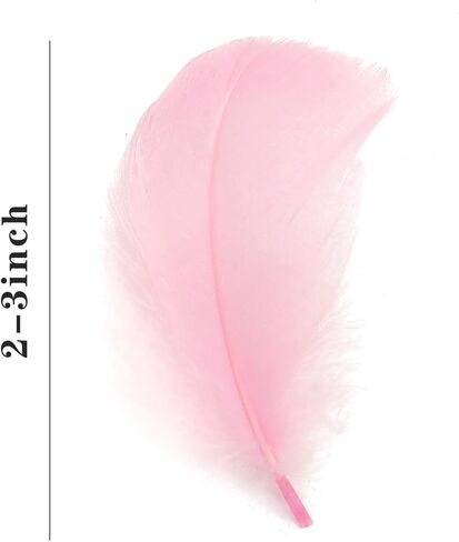 HaiMay 300 Pieces Black Feathers for Craft Jewelry Wedding Home Party Decorations, 4-6 Inches Natural Hard Goose Feathers Black Craft Feathers in Kuwait