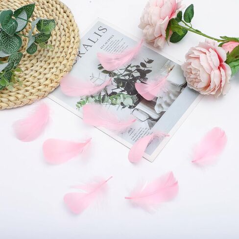 HaiMay 300 Pieces Black Feathers for Craft Jewelry Wedding Home Party Decorations, 4-6 Inches Natural Hard Goose Feathers Black Craft Feathers in Kuwait