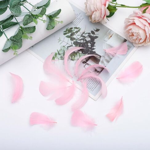 HaiMay 300 Pieces Black Feathers for Craft Jewelry Wedding Home Party Decorations, 4-6 Inches Natural Hard Goose Feathers Black Craft Feathers in Kuwait