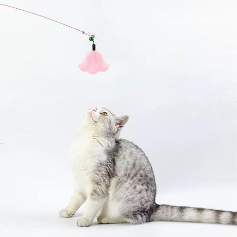 HaiMay 300 Pieces Black Feathers for Craft Jewelry Wedding Home Party Decorations, 4-6 Inches Natural Hard Goose Feathers Black Craft Feathers in Kuwait