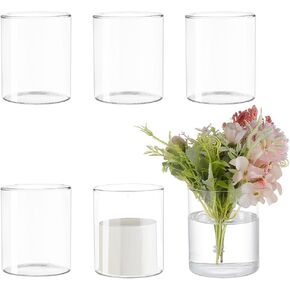 BENECREAT 6 Pcs Glass Cylinder Vases, 4 Inch (H) x 3.3 Inch(W) Clear Hydroponic Plant Bottles, Modern Decorative Centerpieces Vases for Micro Landescape, Flower, Home, Weddings, Party