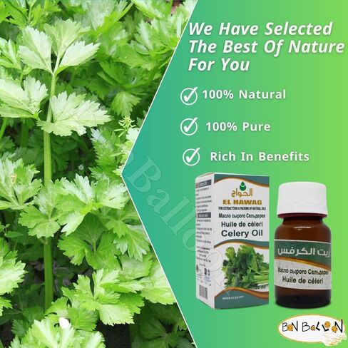 Elhawag زيت الكرفس نقي طبيعي معصور على البارد الحواج الحواج المصرية المصرية الأعشاب العربية أعشاب عربية أعشاب شرقية للجسم والشعر بدون مواد معدلة وراثيا كوشير حلال (1 عبوة = 1.01 أونصة / 30 مل) زيت الكرفس الحواج in Kuwait
