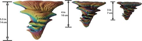 Wall Floating Shelf, Set of 3 Mushroom Wall Shelves, 3-5.5 Inches, Room Decor, Cottagecore Decor, 3D Printed, Wall Mounted Shelves in Saudi Arabia