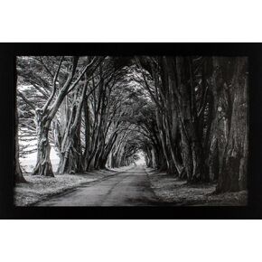 11x17 Black Gallery Picture Frame - Wide Molding - Includes Attached Hanging Hardware - Crystal Clear Plexiglass Front - Display Pictures 11 x 17 Inch Photos - Legal Paper and Digital Photography Size